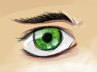 Bamboo Test bamboo colors eye illustration