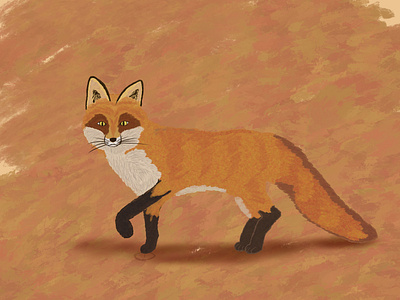 Red Fox III