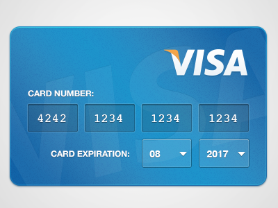 Credit Card input credit card input pingdom visa