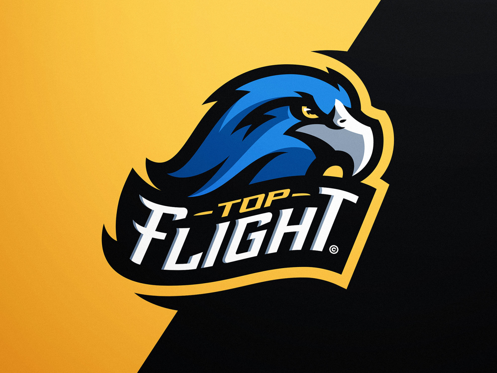 blue-eagle-esports-logo-by-derrick-stratton-on-dribbble