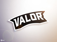 Valor Panther eSports Logo by Derrick Stratton on Dribbble