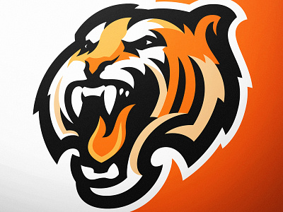 Tigers Sports Logo Design dasedesigns design esports logo gaming head illustration mascot logo sports design sports identity sports logo tiger tigers vector