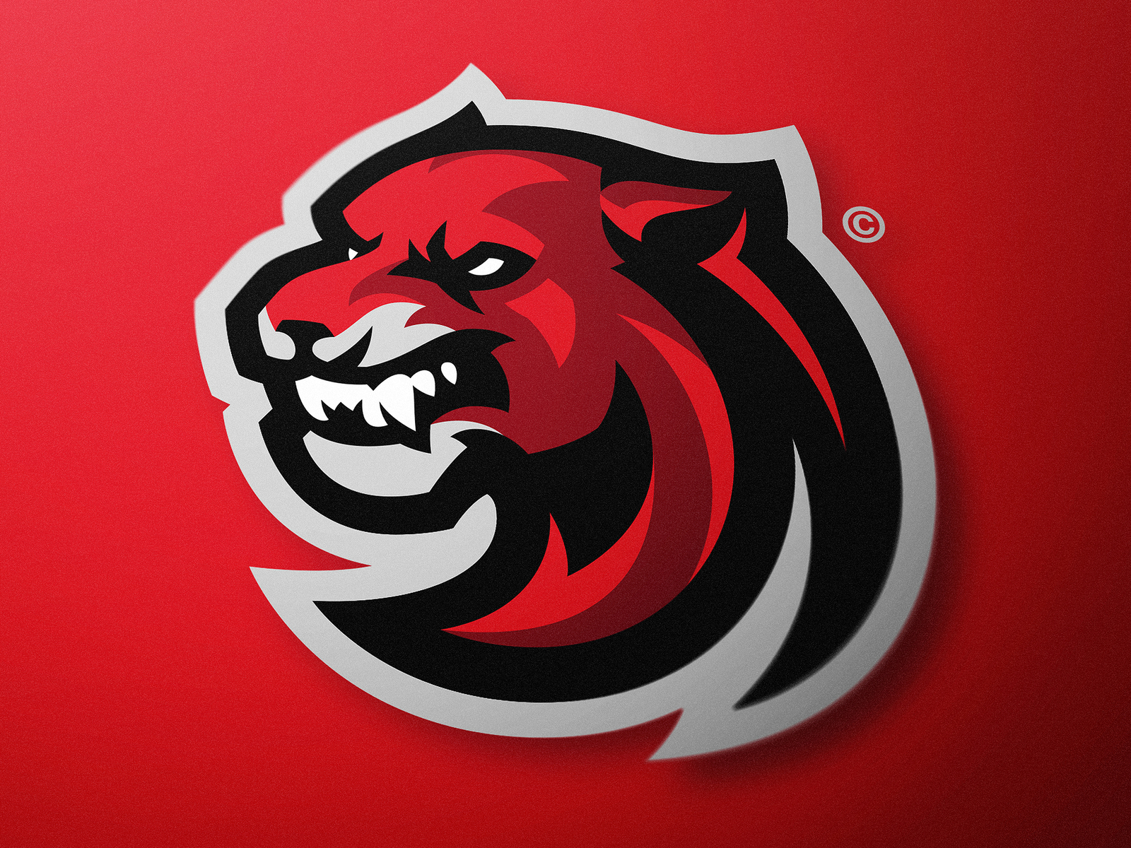 Cougar Sports Logo Design (FOR SALE) by Derrick Stratton on Dribbble