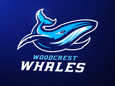 Woodcrest Whales Sports Logo dasedesigns design esports fish gaming illustration mammal mascot sports sports branding sports identity sports logo team logo vector whale whales woodcrest woodcrest whales