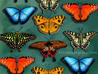 butterflies