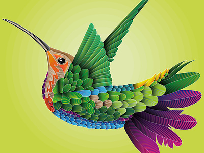 Hummingbirds - vector design graphic design illustration typography vector