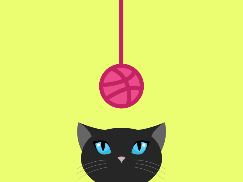 Hello Dribbble! cat character animation cute debut illustration kitty playful quirky vector