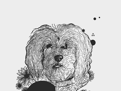 Ari Standar: Mayor of Angelenos' Dogs blackandwhite dogsofcyberspace handdrawn illustration peekoopoo sketch