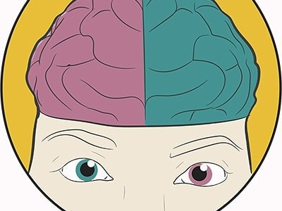 Cerebro de Colores