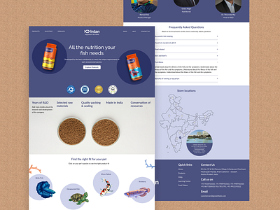 Web site design: Landing page design for fish feeds branding copy writing design fish feeds landing page pet product ui user experience user interface ux ux writing website