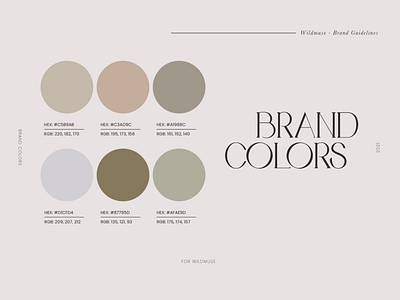 Color Palette brand creation brand identity branding color palette design graphic design