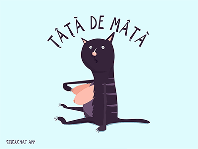 "The cat's tits" animation animation cat tata de mata