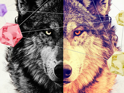 Wolf Cover Art cover cover art cover art design design photomontage photoshop wolf