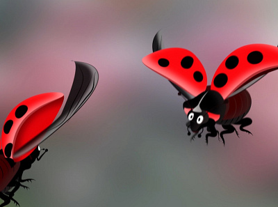 Lady Birds 3d animation graphic design motion graphics