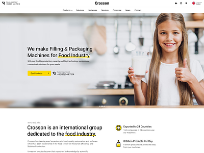 Business Website Theme UI Design