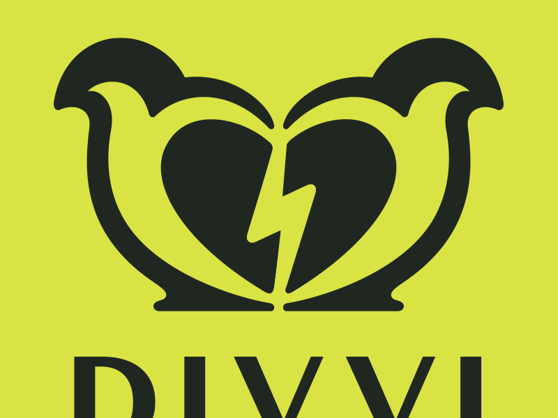 Divvi brand system bolt divorce lightening penguins startup