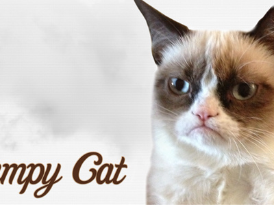 Grumpy Cat HD Wallpaper cat grumpy cat reddit tardar sauce typography
