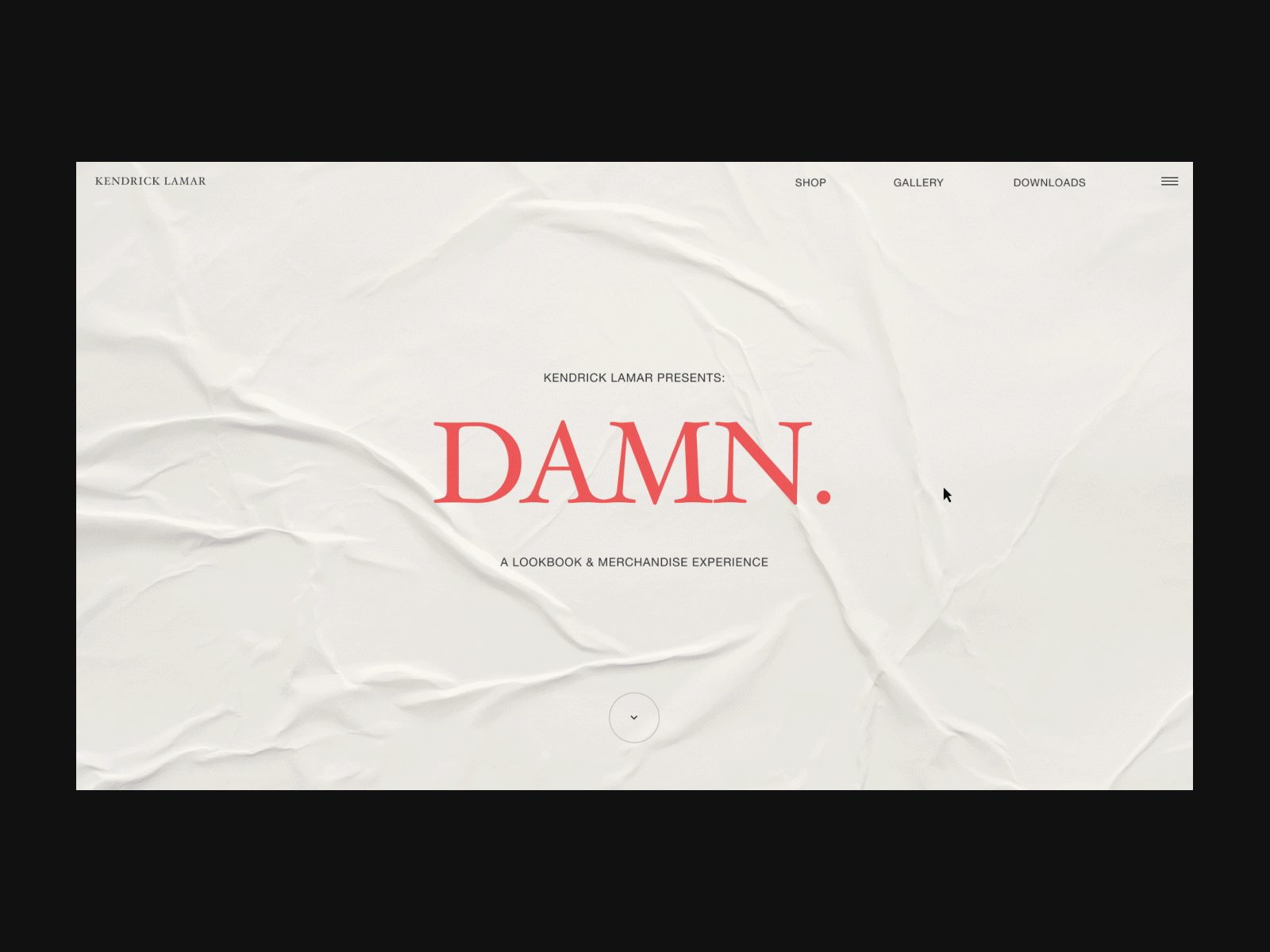'DAMN.' Website Experience