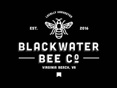 Blackwater Bee Company 2 2d bee bees blackwater branding digital honey identity mark packaging print