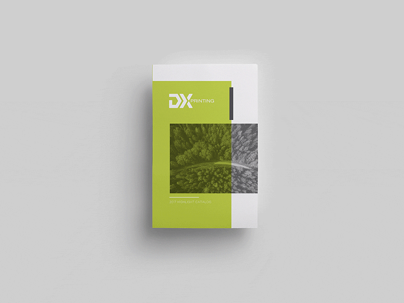 DX Printing Brochure brochure layout overlay print print design publication