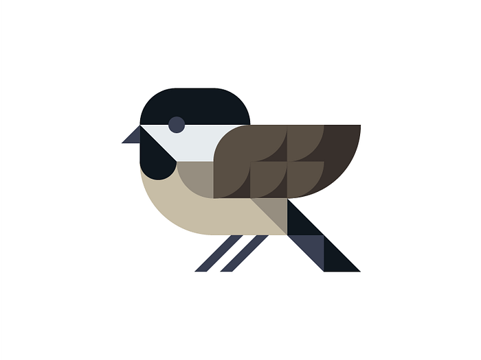 Black Capped Chickadee by Mark on Dribbble