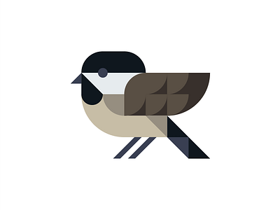 Black Capped Chickadee