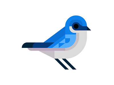 Tree Swallow