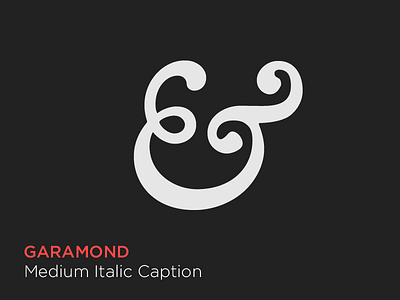 Nice amps ampersand garamond italic serif type typography