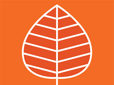 Aspen Clean Candle branding icon identity illustration logo