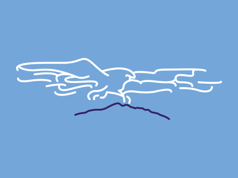 White Eagle lineart flatdesign