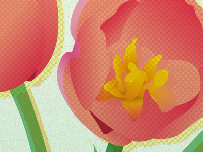 Tulip Festival Event Poster event poster flowers tulips