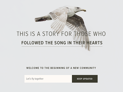 Jonathan Livingston Seagull branding community sign up video