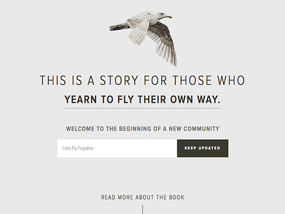 Jonathan Livingston Seagull branding community literature photoraphy publishing sign up web