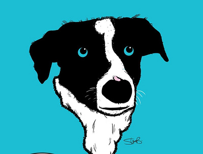 'Ruff' Sketch Pet Portrait cartoon character design design graphic design illustration