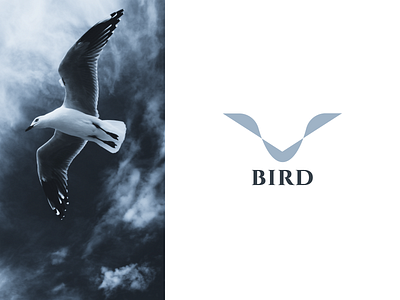 Bird bird bird logo logo