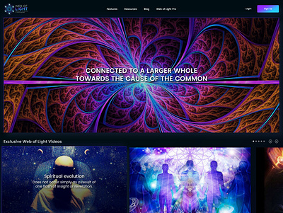 Web of Light branding design graphic design ui