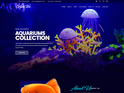 Aqua branding graphic design user friendly websitedesign