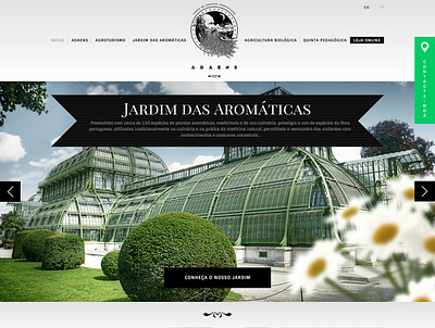 ADAENS Website and photomontage. adaens art direction branding design digital art graphic design homepage photo compositing photomontage portugal scroll site ui webdesign website