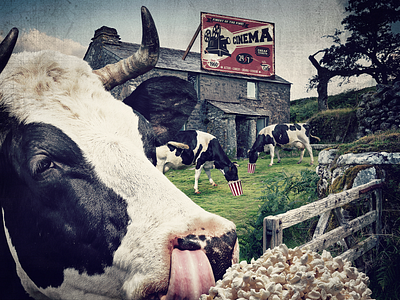 "Popcorn Cows in the Cinema". art direction design digital art fun funny graphic design illustration photo compositing photomontage portugal