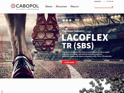 Cabopol Website.