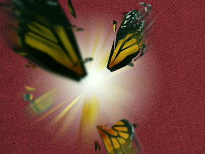 Blast bug butterfly digital art explosion illustration monarch orange surrealism wing