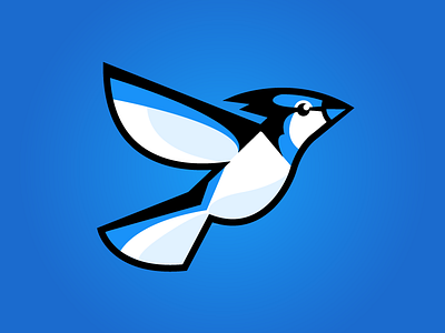 BluJay - Logo Concept bird blue blue jay brand branding design flat flying identity illustration logo logo design