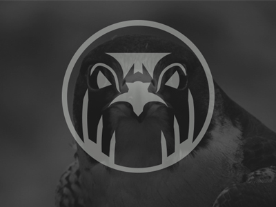 falcon logo