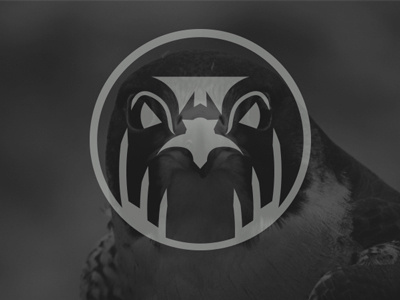 Arabic Falcon - Logo aguila arabic bid brand design falcon flat logo minimalist