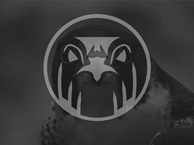 Arabic Falcon - Logo