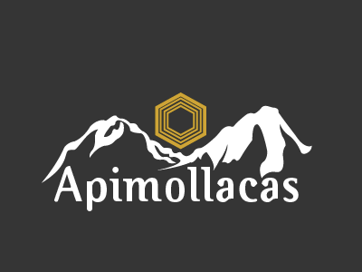 Logo Apimollacas branding chile coquimbo honey logo mollacas