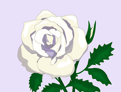 Rose branding design illustration logo rose typography ui ux vector