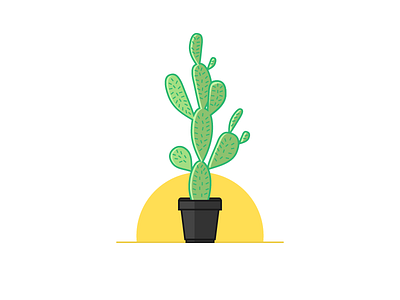 Cactus 002