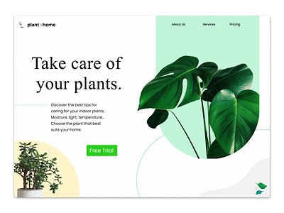 Plant Website branding design graphic design icon illustration logo typography ui ux vector
