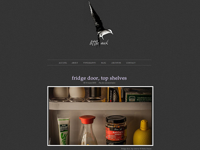 Dark Little Auk theme web design wordpress